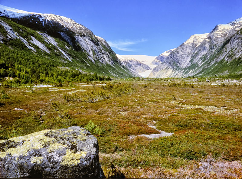 U-shaped Nigardsbreen valley, Jostedalsbreen National Park, Norway